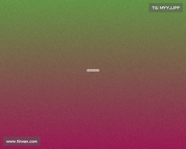 法国电竞足球比分